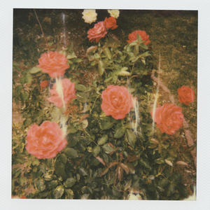 月经带的故事(小说)
