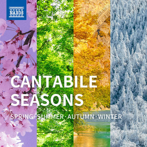 月经带的故事(小说)
