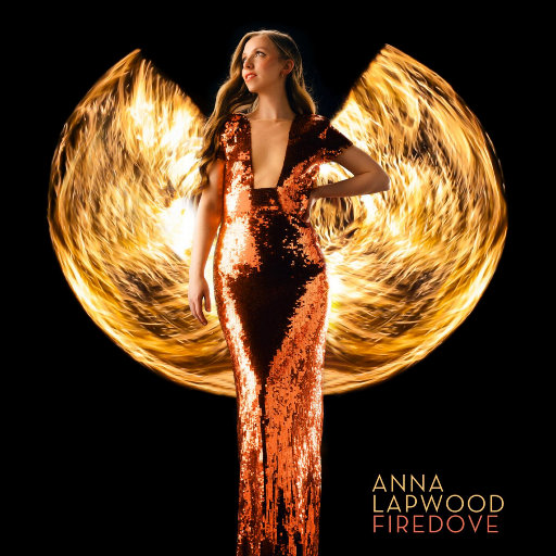 月经带的故事(小说)
